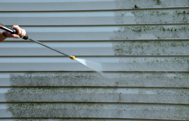 Best Fence Pressure Washing  in La Homa, TX