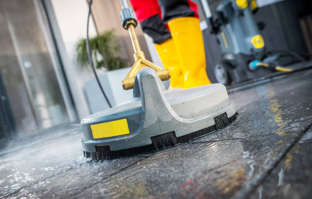 Best Pressure Washing Services Near Me  in La Homa, TX