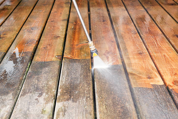 Best House Pressure Washing  in La Homa, TX