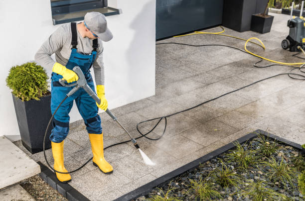 Local Pressure Washing Services in La Homa, TX