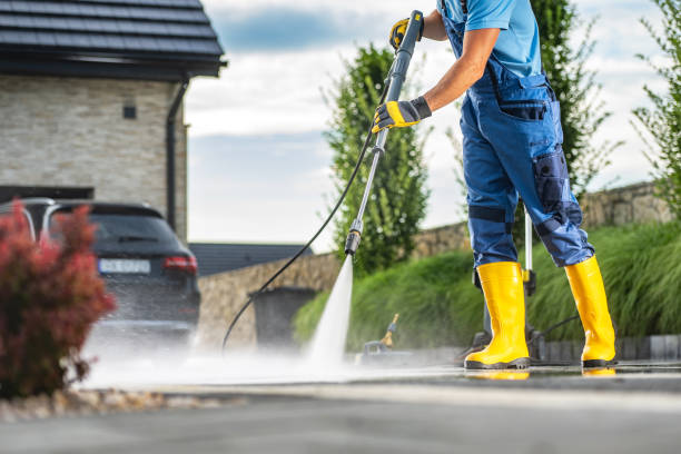 Best Local Pressure Washing Services  in La Homa, TX