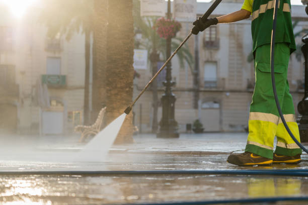 Best Local Pressure Washing Services  in La Homa, TX