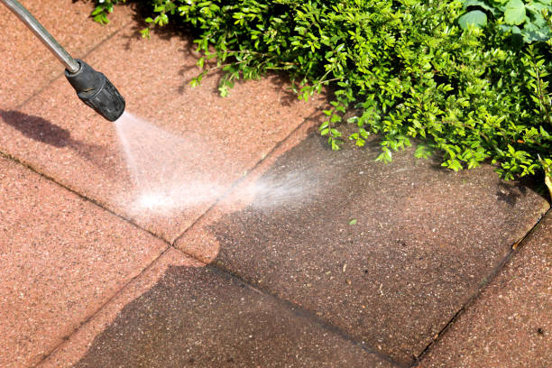 Best Affordable Power Washing  in La Homa, TX