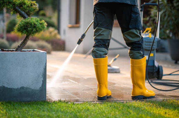 Best Deck Pressure Washing  in La Homa, TX